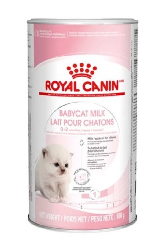 Royal Canin 法國皇家 : 初生貓奶粉300克